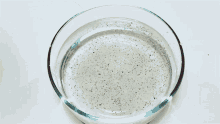 Pepper Salt GIF - Pepper Salt Water GIFs