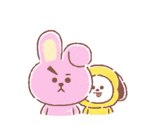 cooky bt21 chimmy