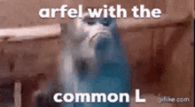 Arfel Arfel Catipay GIF - Arfel Arfel Catipay GIFs