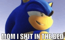 a picture of sonic the hedgehog with the words `` mom i shit in the bed '' written on it .