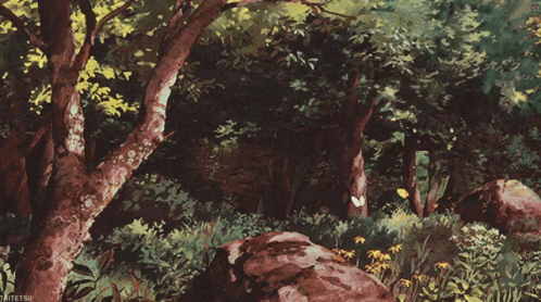 An extremely foliated forest, with thick trees, large rocks, and a field of multiple different plants covering the ground. In the foreground there’s two butterflies flapping around, one white and the other yellow.