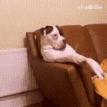 Chilling Funny GIF - Chilling Funny Doggy - Discover & Share GIFs