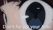 a close up of a person 's eye with the words `` do n't forget your anki '' written above it .