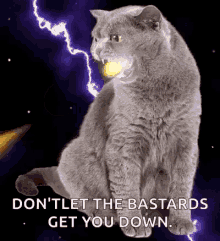 Angry Cat Firebreathing GIF - Angry Cat Firebreathing Dont Let Them Get You Down GIFs