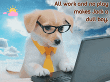 a dog wearing glasses and a tie is typing on a laptop