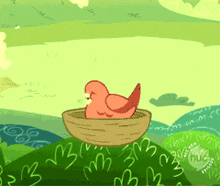 a cartoon of a bird sitting in a nest with the letters nbc on the bottom right