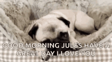 Good Morning Jules Doggo GIF - Good Morning Jules Doggo Pugs GIFs