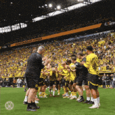 Bvb Reus GIF - Bvb Reus Borussia Dortmund GIFs