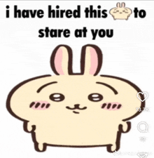 a cartoon of a rabbit with a caption that says `` i have hired this to stare at you '' .