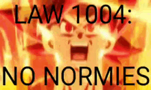 rule1004 goku rules no normie rules