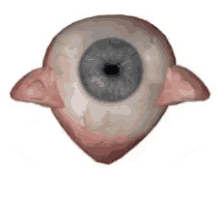 pupil cornea