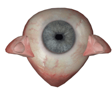 Eye Cornea Sticker - Eye Cornea High Stickers