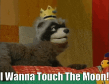 Crazy Quilt Jackson The Raccoon GIF - Crazy Quilt Jackson The Raccoon I Wanna Touch The Moon GIFs