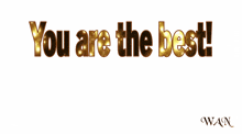 a sign that says you are the best with a hand pointing