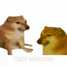 Trey Mancini GIF - Trey Mancini GIFs
