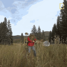 Netting Catch Bee GIF - Netting Catch Bee Capturing Bees GIFs