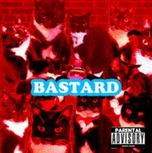 a bunch of cats are on the cover of bastard parental advisory album
