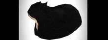 a black cat laying down on a white surface