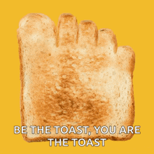 Toast Toes GIF