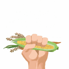 support agricultural resilience corn support the green new deal green new deal alexandria ocasio cortez
