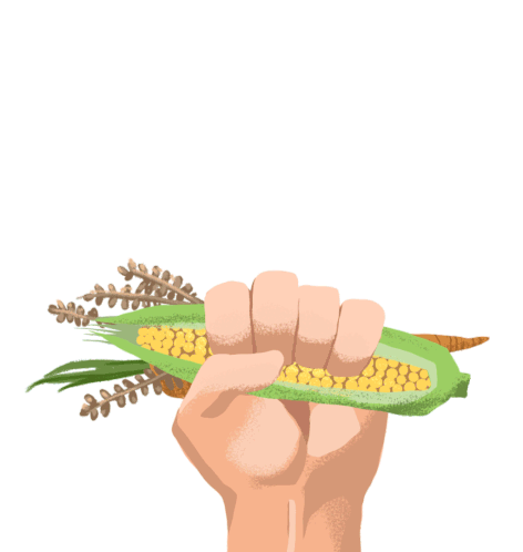 Support Agricultural Resilience Corn Sticker - Support Agricultural Resilience Corn Support The Green New Deal Stickers