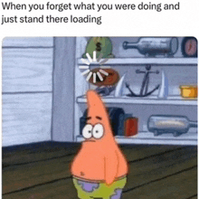 patrick star from spongebob squarepants is standing in front of a shelf with bottles and anchors .