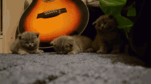 three kittens laying on a carpet next to an orange guitar