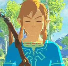 Legend Of Zelda Breath Of The Wild GIF - Legend Of Zelda Breath Of The Wild Link GIFs
