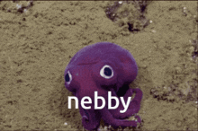 Nebby Squid GIF