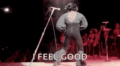 I Feel Good, James Brown