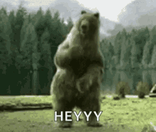 Heyy Grizzly GIF - Heyy Grizzly GIFs