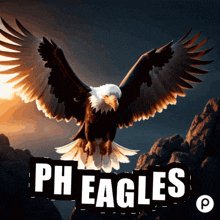 Ph Eagles GIF - Ph Eagles GIFs