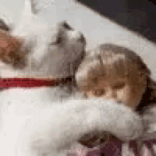 a little girl is laying on a bed next to a cat .