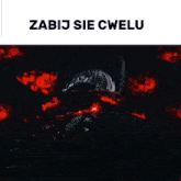 a black and white image with the words zabij sie cwelu