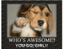 a picture of a puppy with a caption that says who 's awesome you go girl