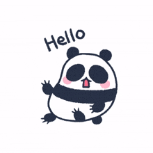 panda hello greeting delight cute