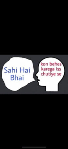 a cartoon of a man talking to another man with a speech bubble that says sahi hai bhai