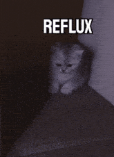 Lost Ark Reflux GIF
