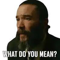 a man with a beard and a suit says what do you mean