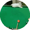 Cat Pool Sticker - Cat Pool 8ball Stickers