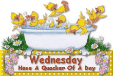 Wednesday Have A Quacker Of A Day GIF - Wednesday Have A Quacker Of A Day GIFs