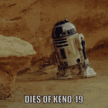Keno 19 GIF - Keno 19 Keno19 GIFs