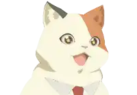 a calico cat wearing a tie and collar looks at the camera