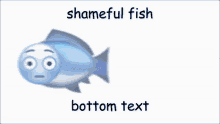 shameful fish shameful fish