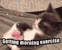 Gettingmorningexercise Morning Exercise GIF - Gettingmorningexercise Morning Exercise Exercise GIFs