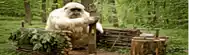 a monkey is sitting on a wooden fence in the woods .