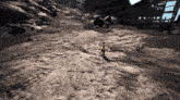 a person standing on a dirt road with a sword in their hand