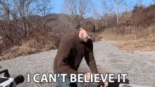 I Cant Believe It Unbelievable GIF - I Cant Believe It Unbelievable Amazing GIFs