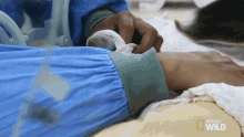 Wrapping A Miracle Baby GIF - Wrapping A Miracle Baby Keep Warm GIFs