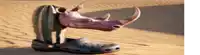 a rhino head is sticking out of a shoe